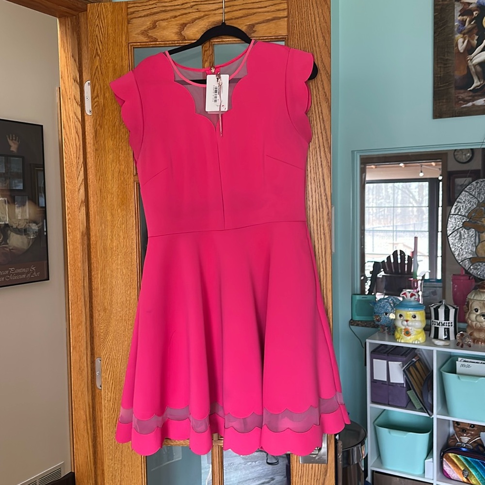 Ted Baker Sharlot Fit & Flare Pink Cap Sleeve Mesh Panel Dress TB 5 US 12